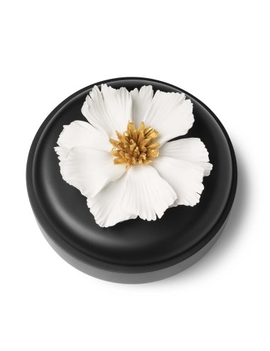 Cutiuță Peony