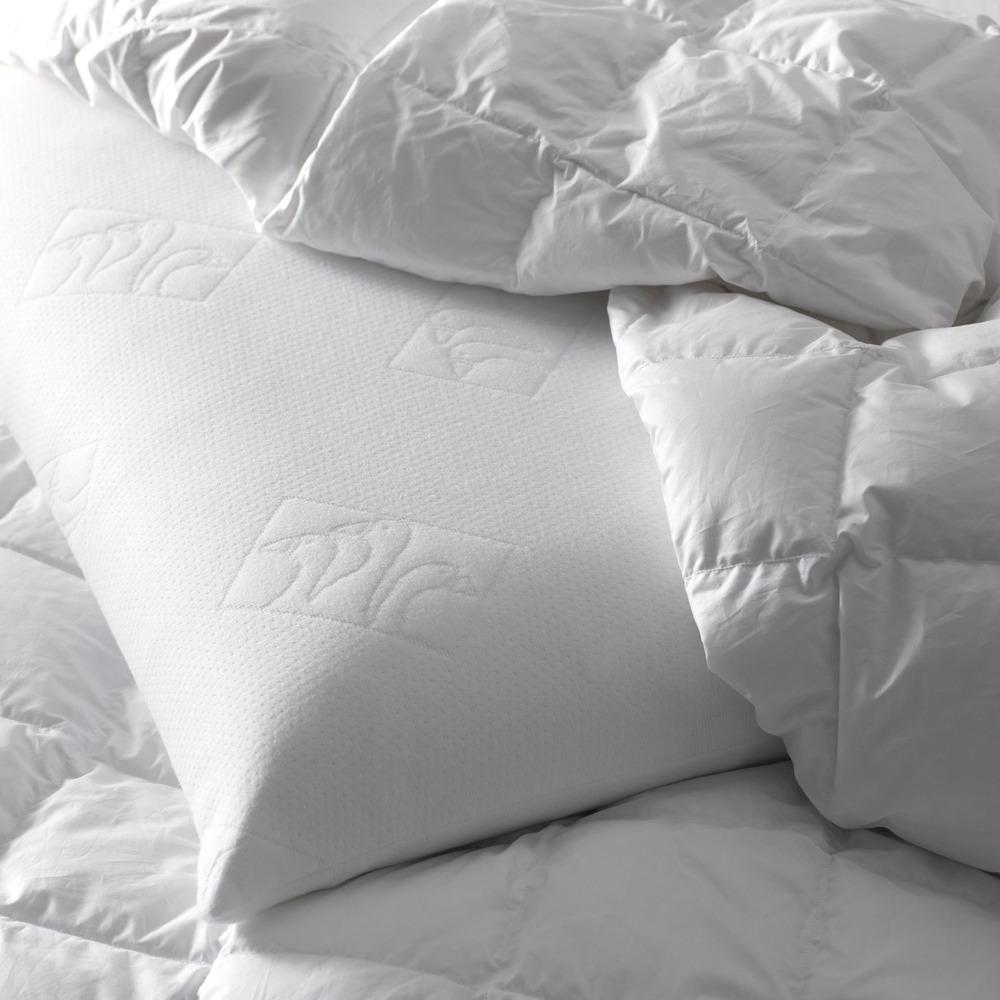 Faţă de pernă Comfort Plus 50X80