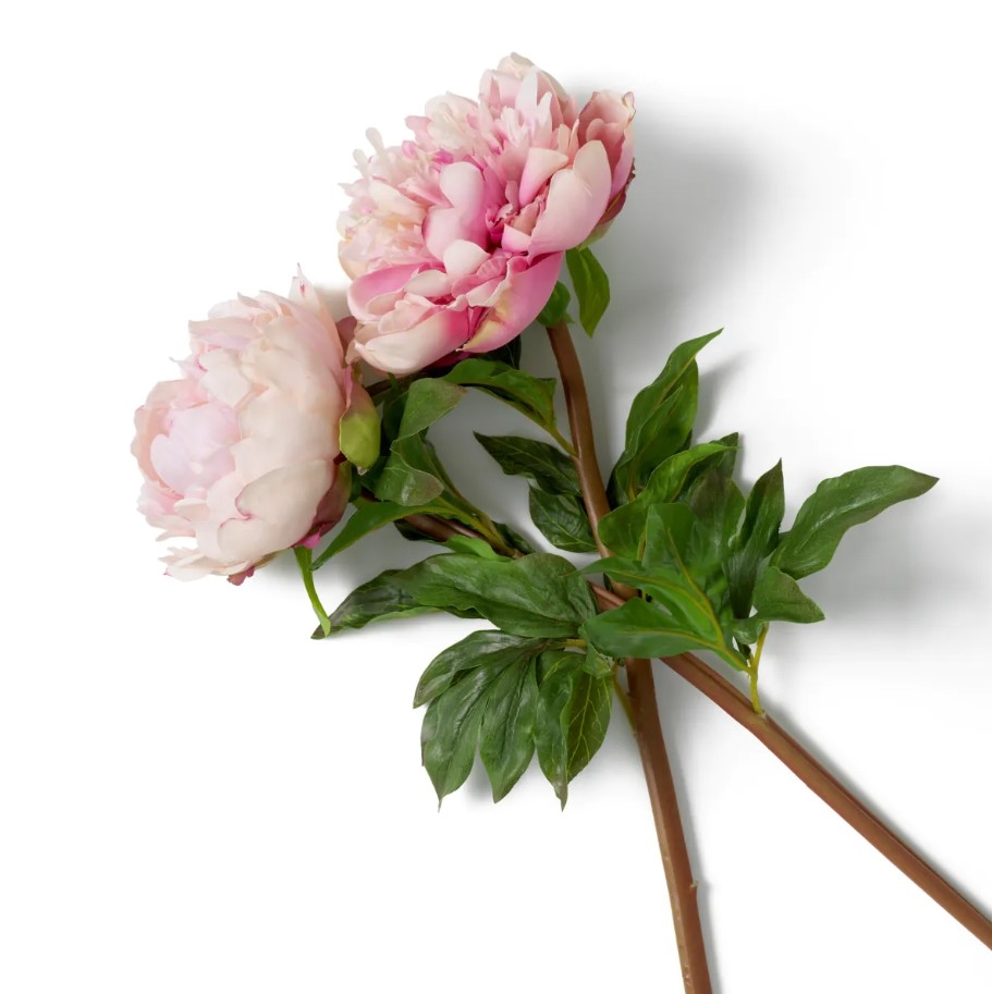 Peonies Real-Touch