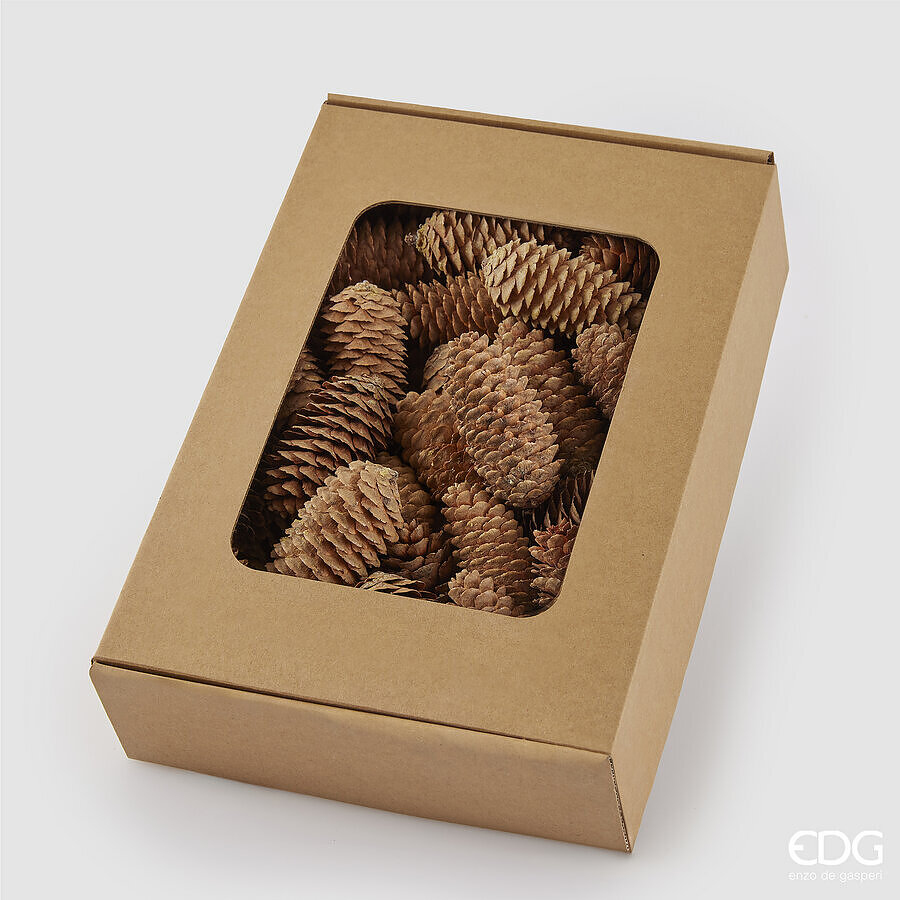 Set of decorative cones Pigna Abete