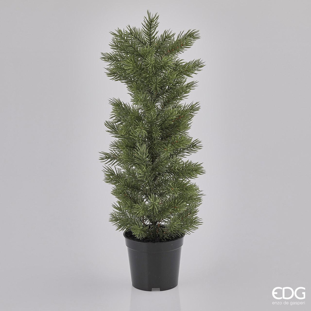 Decorative pine in a vase