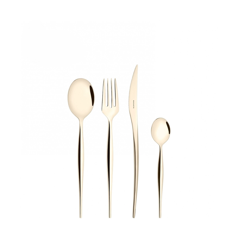 Natura Champagne Set de 24 tacâmuri în cutie Lux