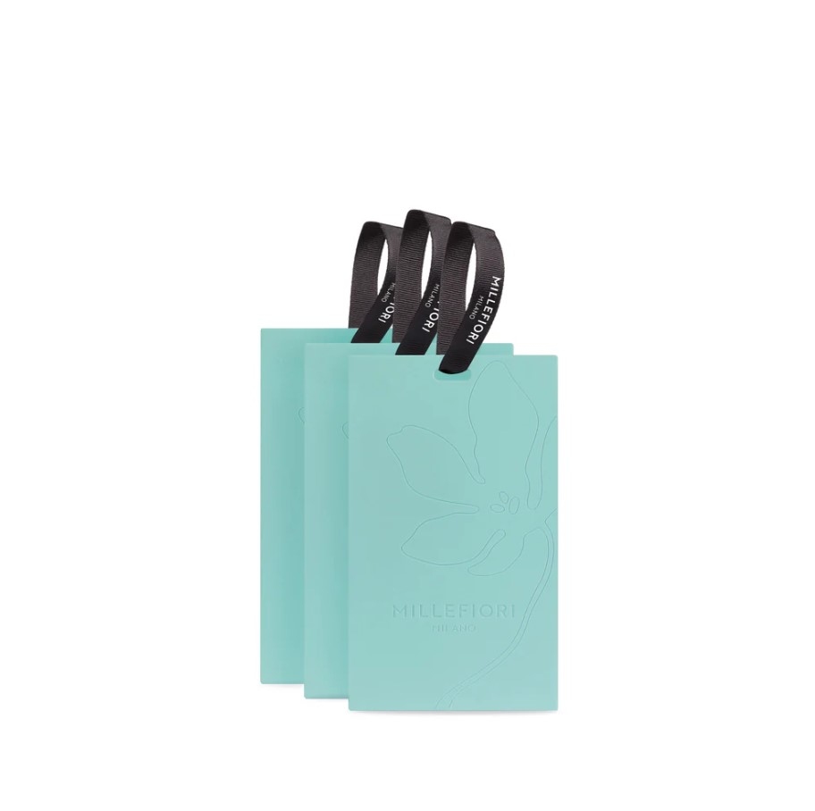 Set de 3 plicuri parfumate pentru garderobă Patchouli Smeraldo