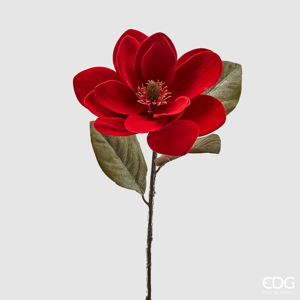 Magnolia Ramo