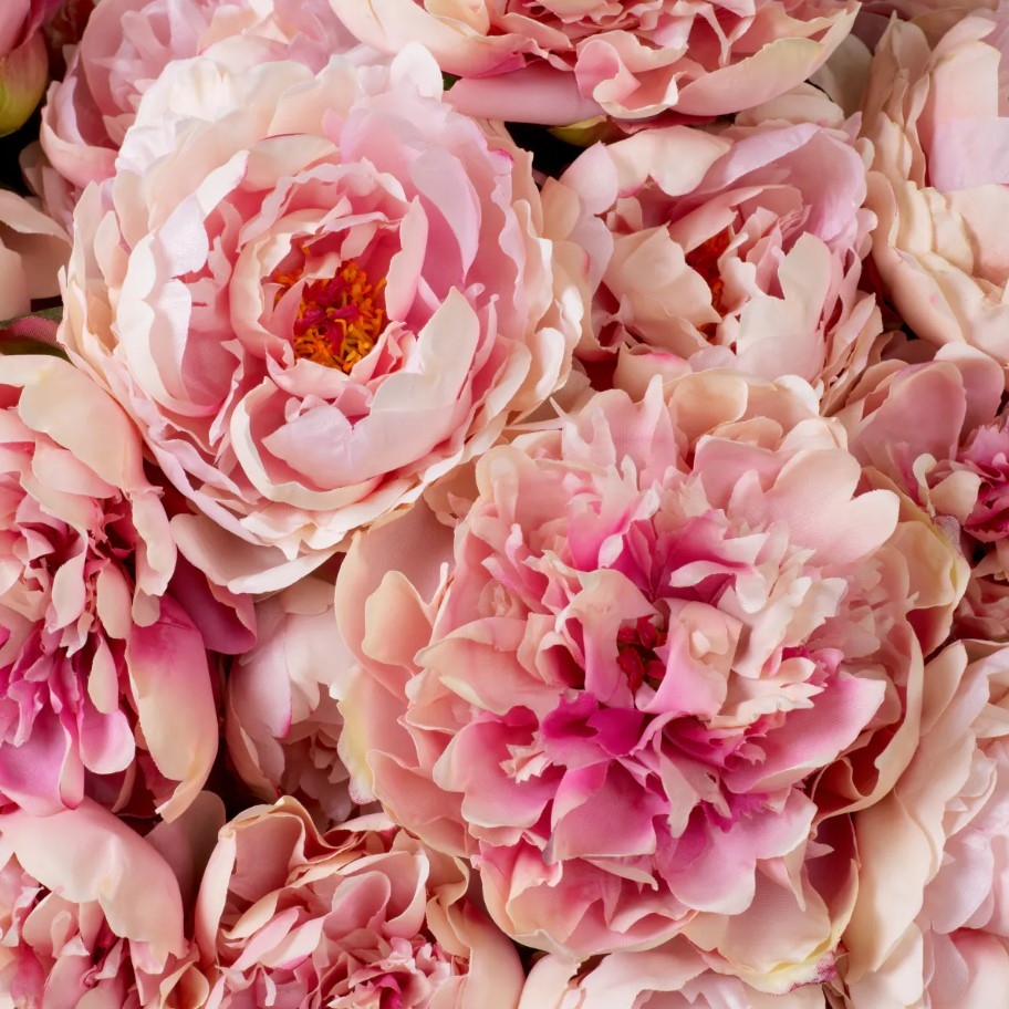 Peonies Real-Touch