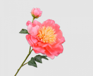 Peony Spray