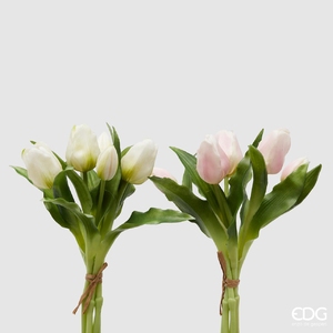 Bouquet of 5 Tulips Olis  White Pink