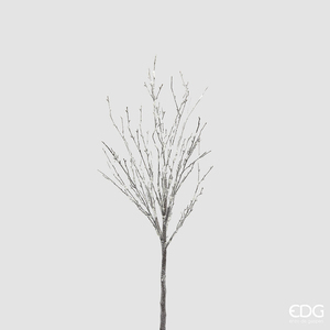 Decorative branch Betulla Inneato