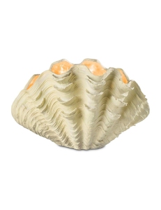Table lamp Tridacna