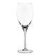 Degustazione Set de 2 pahare de șampanie pentru degustare 